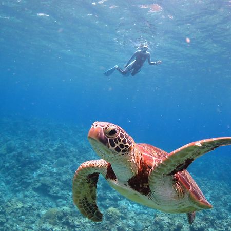 Ishigaki Seaside Hotel ภายนอก รูปภาพ