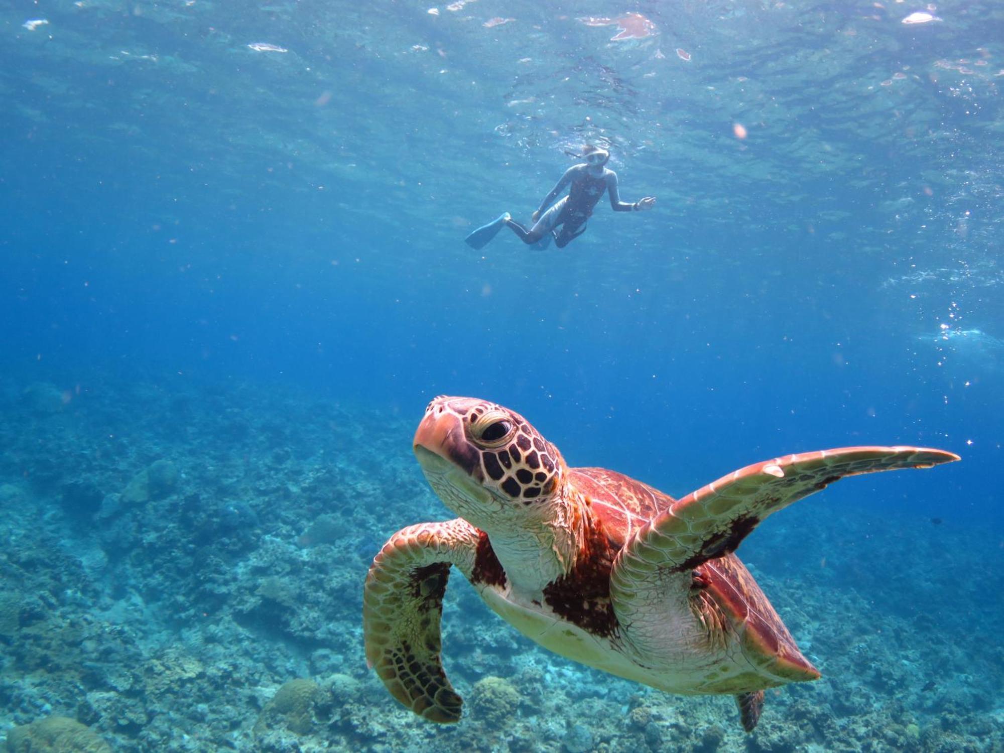 Ishigaki Seaside Hotel ภายนอก รูปภาพ